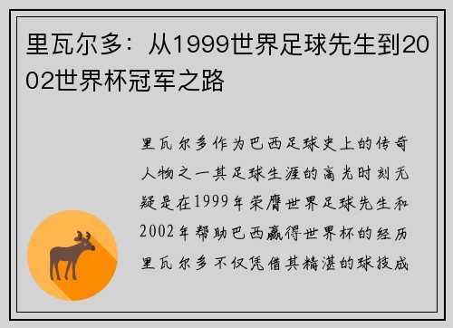 里瓦尔多：从1999世界足球先生到2002世界杯冠军之路