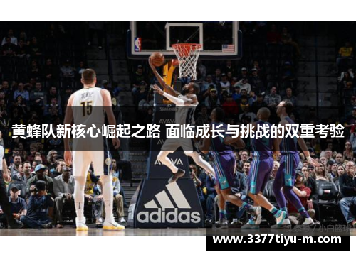 黄蜂队新核心崛起之路 面临成长与挑战的双重考验