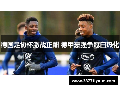 德国足协杯激战正酣 德甲豪强争冠白热化